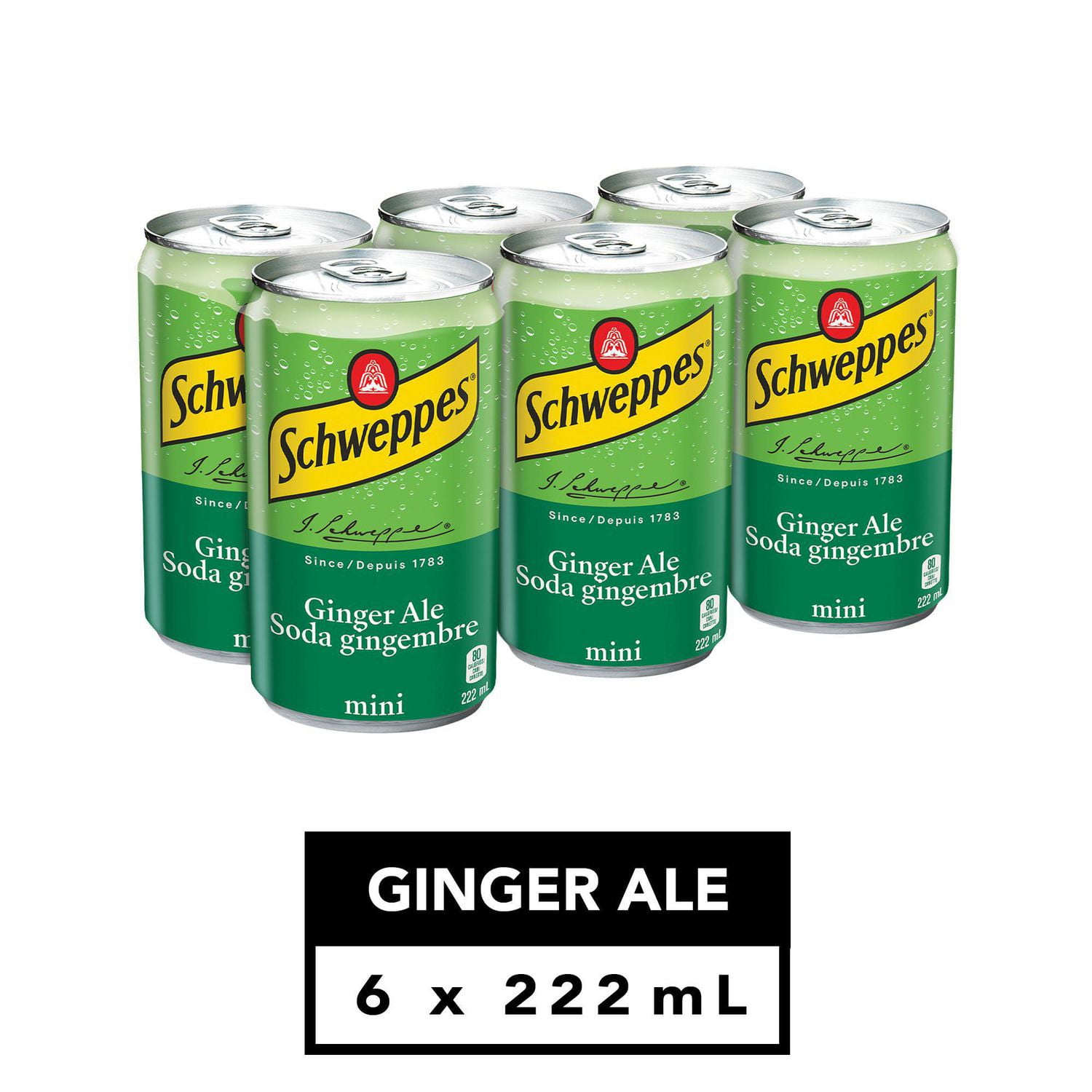 Schweppes Ginger Ale, 6 x 222 mL mini cans Walmart Canada