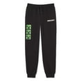 thumbnail image 3 of Minecraft Boys' Fleece Jogger, 3 of 3