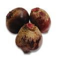 thumbnail image 1 of Beets, Sold in bunches, 1 of 6