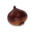 thumbnail image 5 of Beets, Sold in singles, 0.08 - 0.43 KG, 5 of 5
