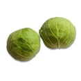 thumbnail image 3 of Cabbage, Green, Sold in singles, 1.50 - 4.00 KG, 3 of 5
