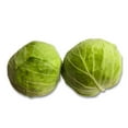 thumbnail image 4 of Cabbage, Green, Sold in singles, 1.50 - 4.00 KG, 4 of 5