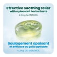thumbnail image 4 of Pastilles Ricola Max soin nasal avec extra menthol, 4 of 7