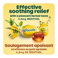 thumbnail image 3 of Ricola No Sugar Added Original Herb Menthol Cough Drops, 3 of 6