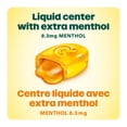thumbnail image 4 of Ricola Max Throat Care Honey Lemon Menthol Cough Drops, 4 of 7