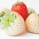 Olay Fresh Outlast Nettoyant pour le corps, fraise blanche rafraîchissante et menthe 650 ml – image 4 sur 8