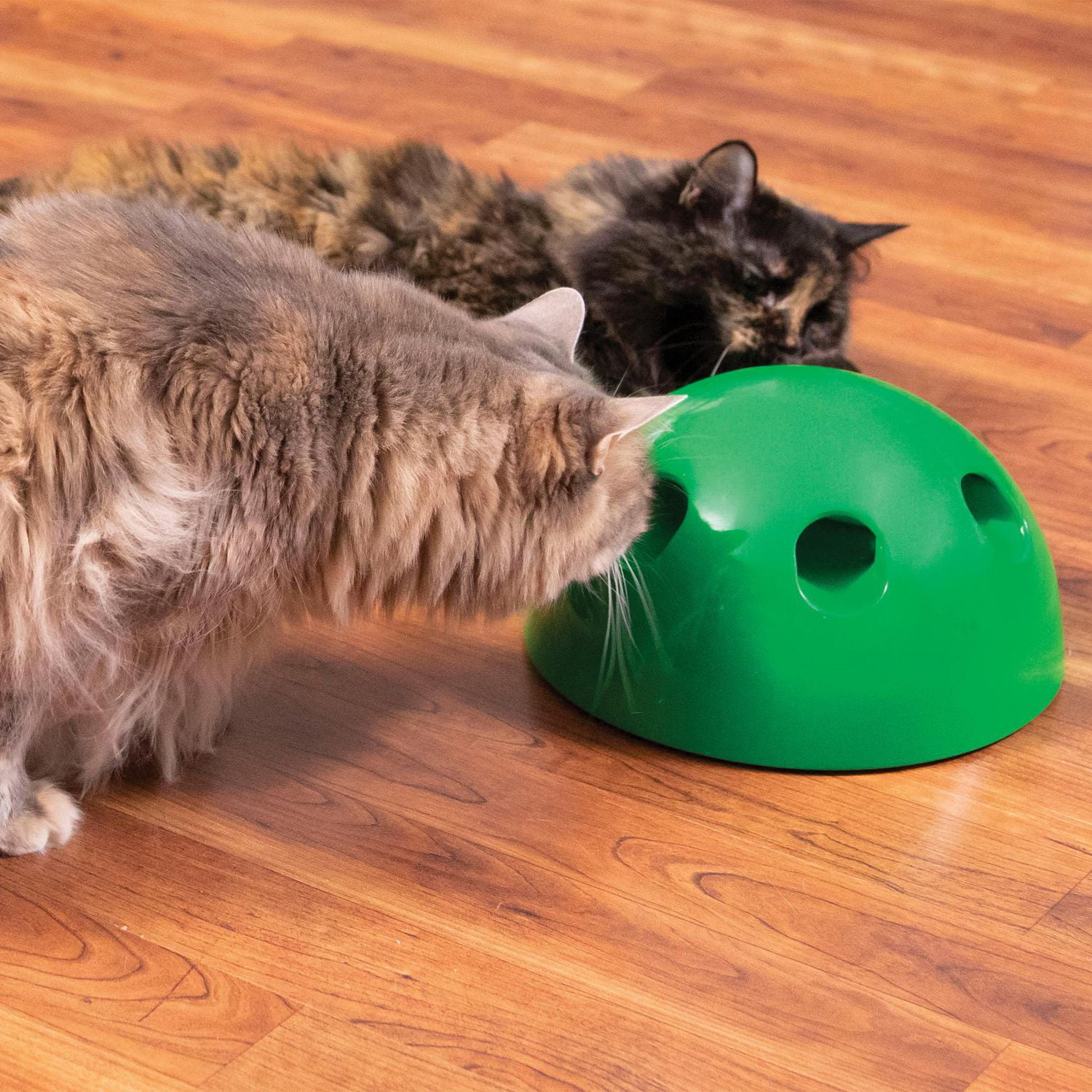 Pop n play interactive cat toy sale