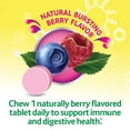 thumbnail image 2 of Culturelle Kids Daily Probiotic Chewables | Natural Bursting Berry Flavour | Help Support your Child's gastrointestinal health| 30 Count, 2 of 7