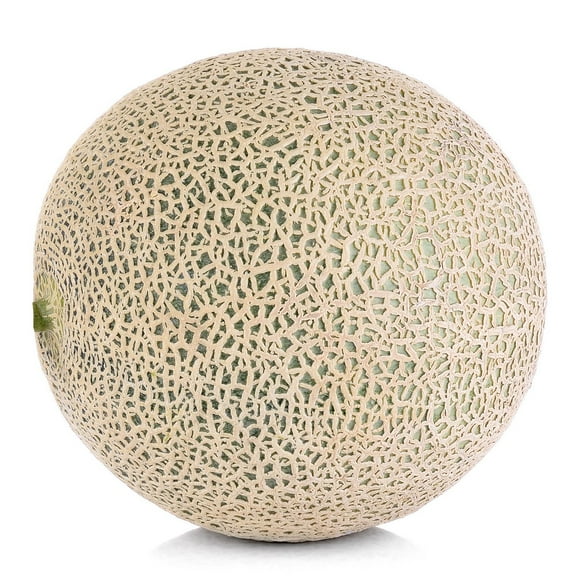 Cantaloup Vendu individuellement