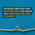 thumbnail image 4 of Gomme Thrive 2 mg Force régulière Remplacement de la nicotine, 4 of 8