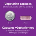 thumbnail image 4 of Webber Naturals® Probiotic 5 Billion with 200 mg Cranberry, 4 of 10
