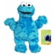PLAYSKOOL SESAME STREET – Cookie Monster – image 1 sur 1