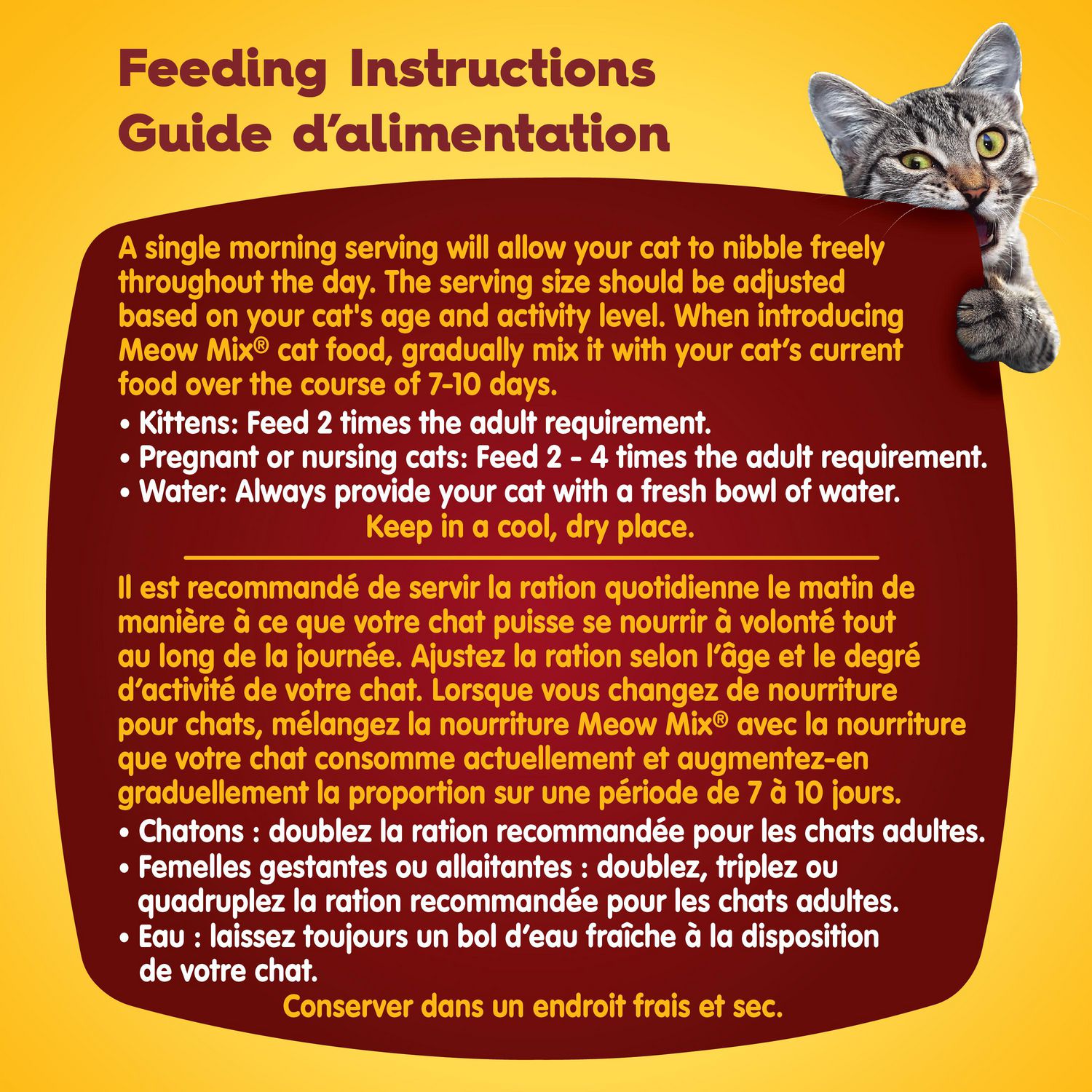 Guide d'alimentation des chats