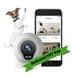 Système de surveillance de caméra PET MOBI® - Système de caméra et de surveillance d'animaux domestiques Smart HD WiFi - Application dédiée PET – image 2 sur 8