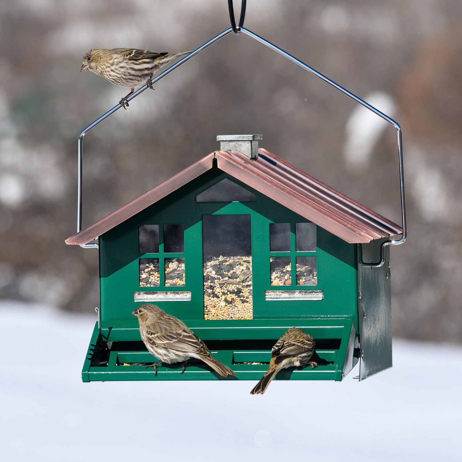 PERKY-PET Farmhouse, mangeoire pour oiseaux d'extérieur – MEUNERIE
