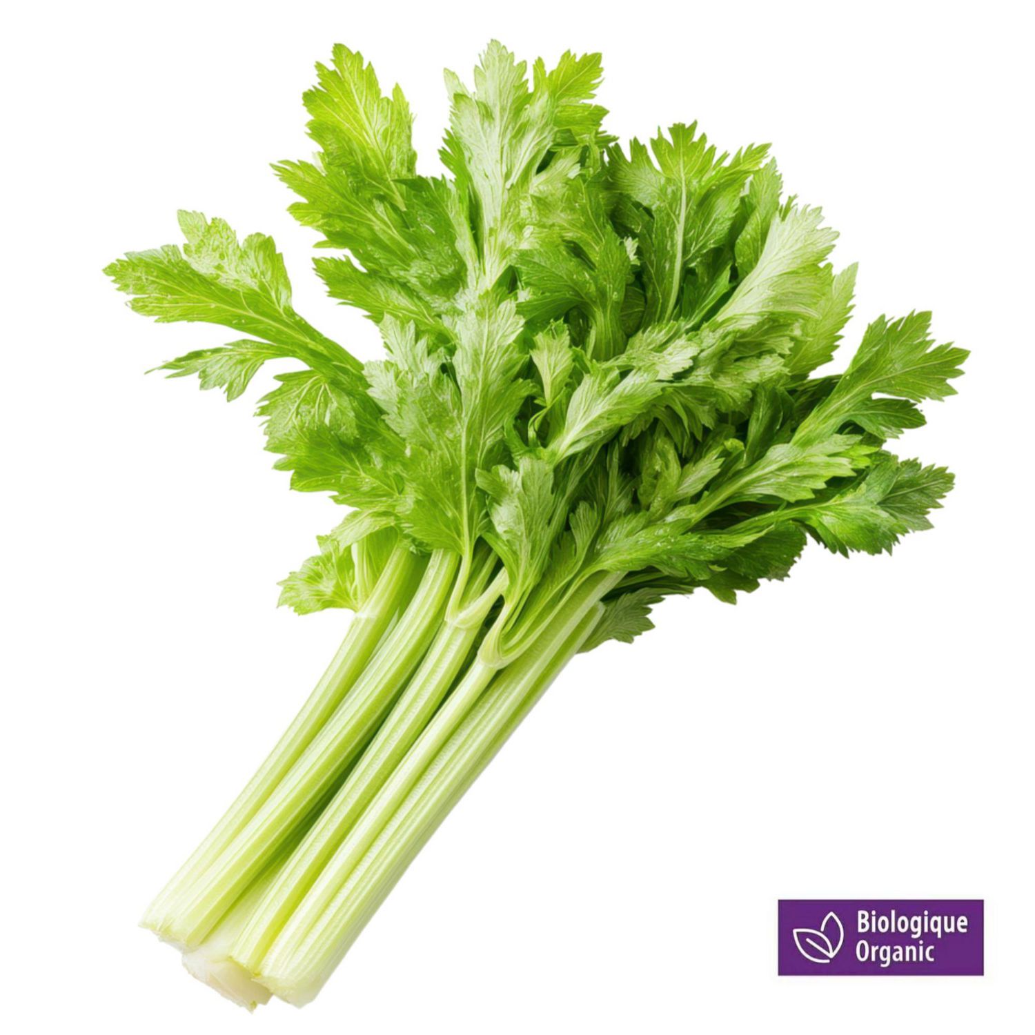 Organic Fresh Celery Stalk, 1 bunch