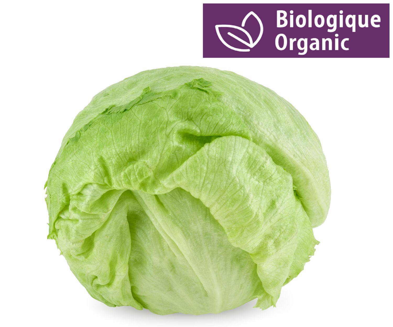Organic Iceberg Lettuce Walmart Canada
