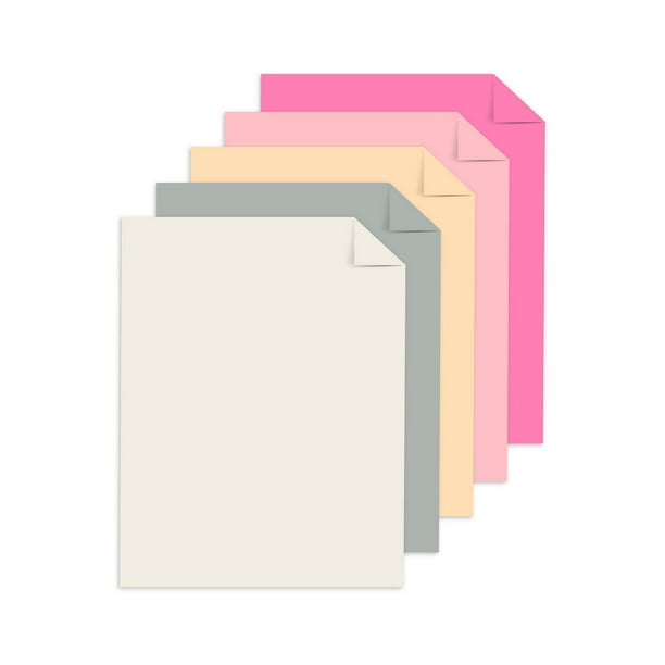 Assorted Bright Colored Cardstock Paper – Assortment of 8 Colors for Arts  and Crafts, Invitations, Flyers, Posters, Decorations | 65lb Cover (176gsm)