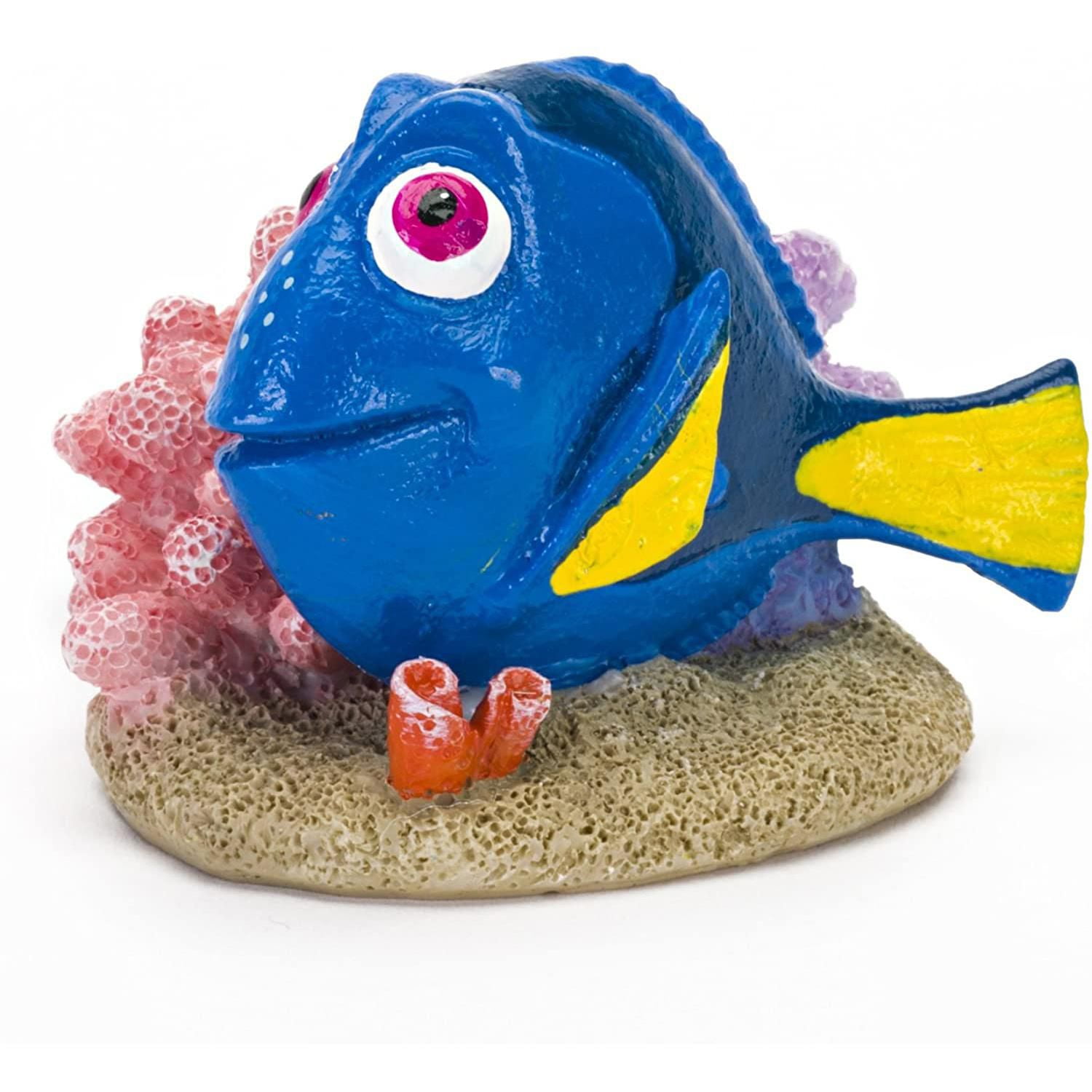 dory fish petsmart