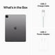 Apple 12,9" iPad Pro 6e Génération 256 Go Wifi+cellulaire Gris Sidéral – image 4 sur 4
