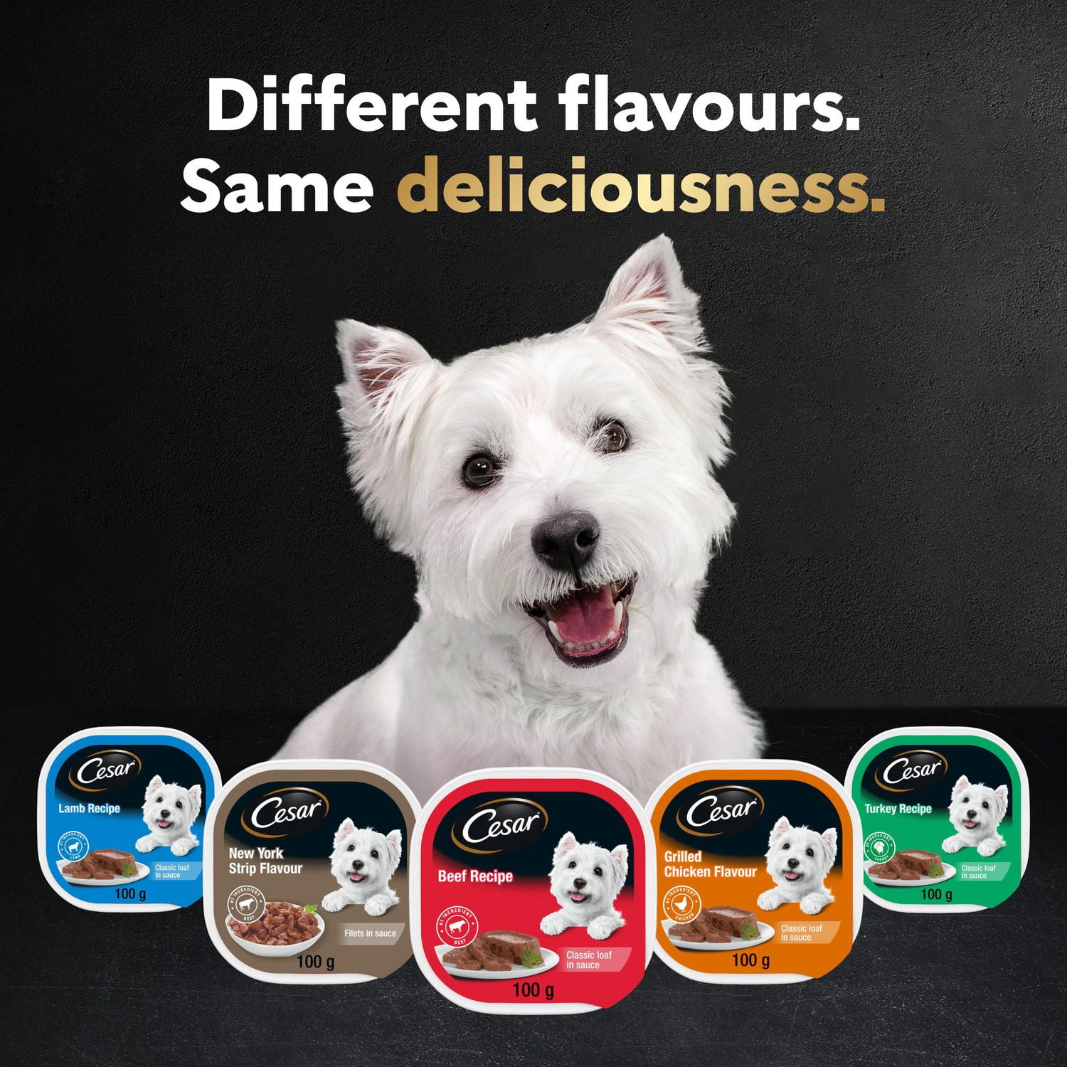 Cesar Adult Filets In Sauce 6 Roasted Turkey & 6 Prime Rib Flavour Soft Wet Dog food, 12x100g