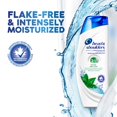 thumbnail image 4 of Tea Tree + Mint Complex Dandruff 2in1 Shampoo + Conditioner,, 4 of 7