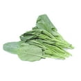 thumbnail image 1 of Baby Gai Lan, 1 bag, 0.40 - 1.20 KG, 1 of 2