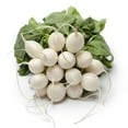 thumbnail image 1 of Radishes White Bunch, Sold in Singles, 0.40 - 1.00 KG, 1 of 1