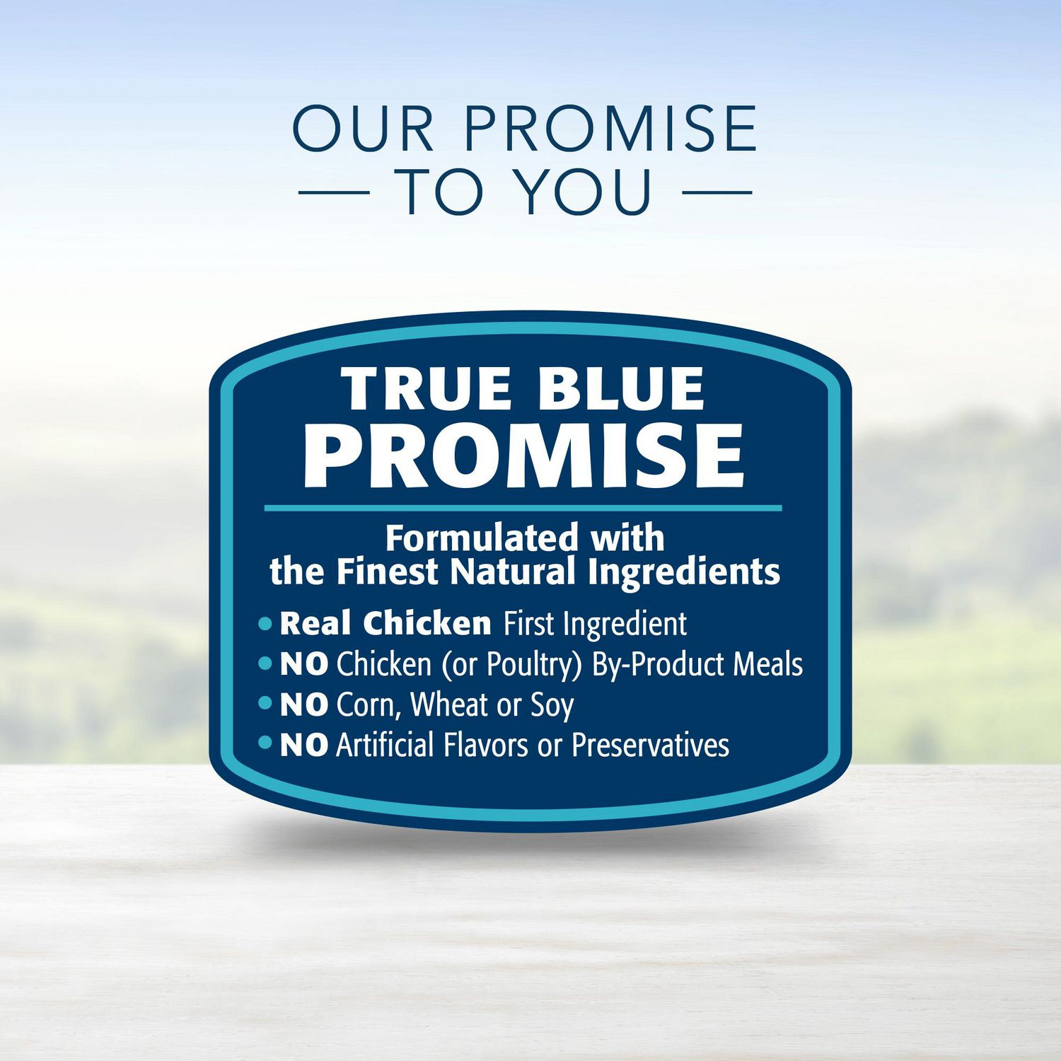 Blue diamond small breed puppy food best sale