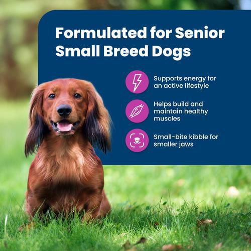 Blue buffalo dog clearance food small breed senior