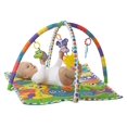 thumbnail image 2 of Playgro Linking Animal Friends Playgym, 2 of 4
