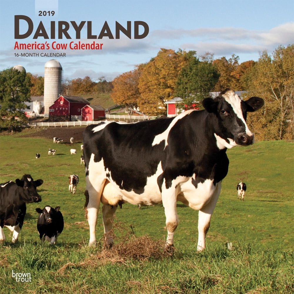 2019 Dairyland The Cow Calendar Walmart Canada