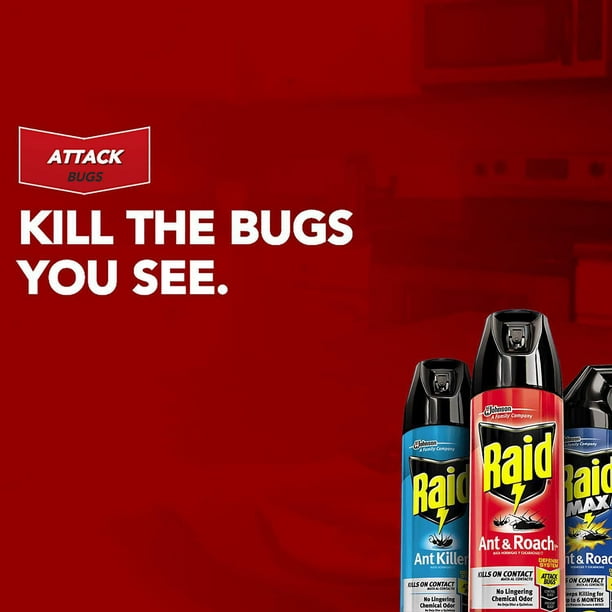 Insecticide Raid Exterminateur d'araignées, tue les insectes au contact,  pour utilisation à l'intérieur et à l'extérieur, 350 g