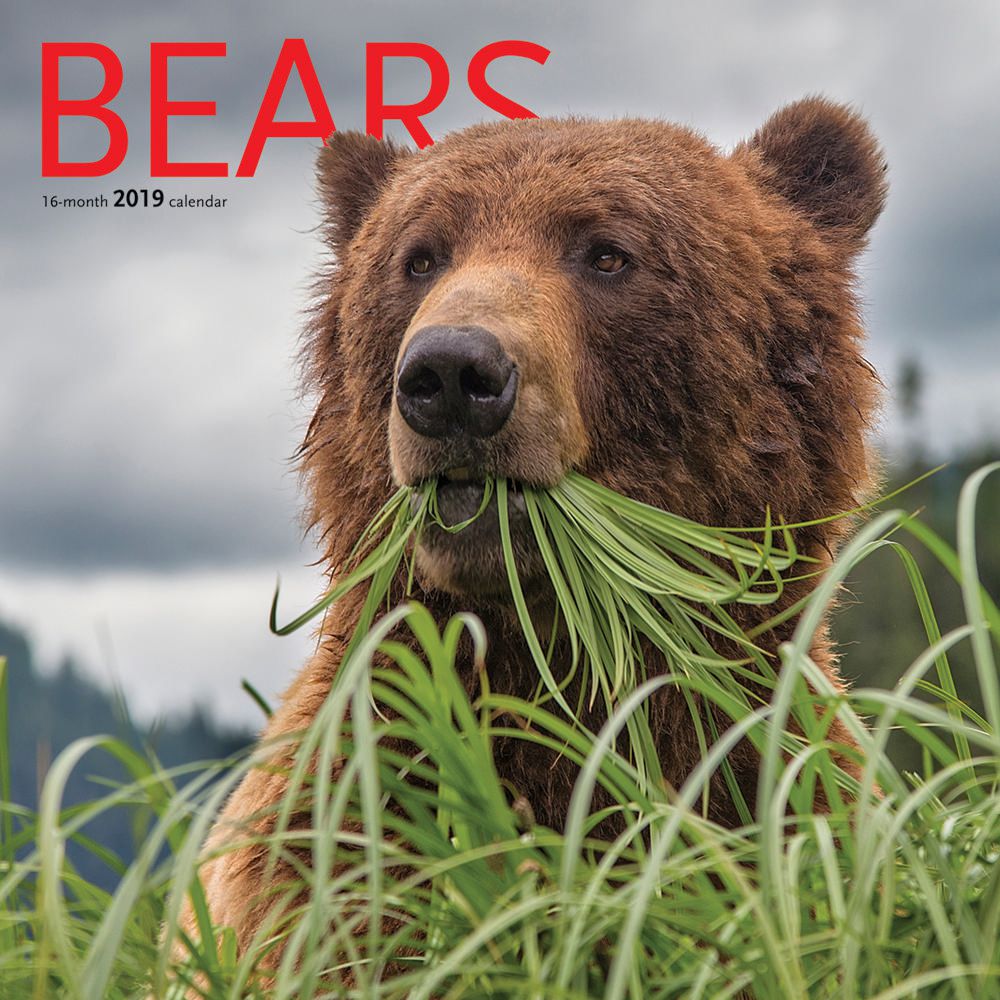 2019 Bears Calendar Walmart Canada
