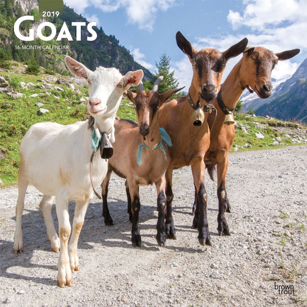 2019 Goats Calendar | Walmart Canada