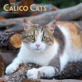 thumbnail image 1 of 2019 Chats calico Calendrier, 1 of 3