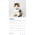 thumbnail image 3 of 2019 Chats calico Calendrier, 3 of 3