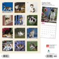 thumbnail image 2 of 2019 Chats calico Calendrier, 2 of 3