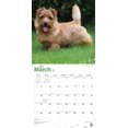 thumbnail image 3 of 2019 Norfolk Terriers Calendar, 3 of 3