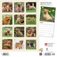 thumbnail image 2 of 2019 Norfolk Terriers Calendar, 2 of 3