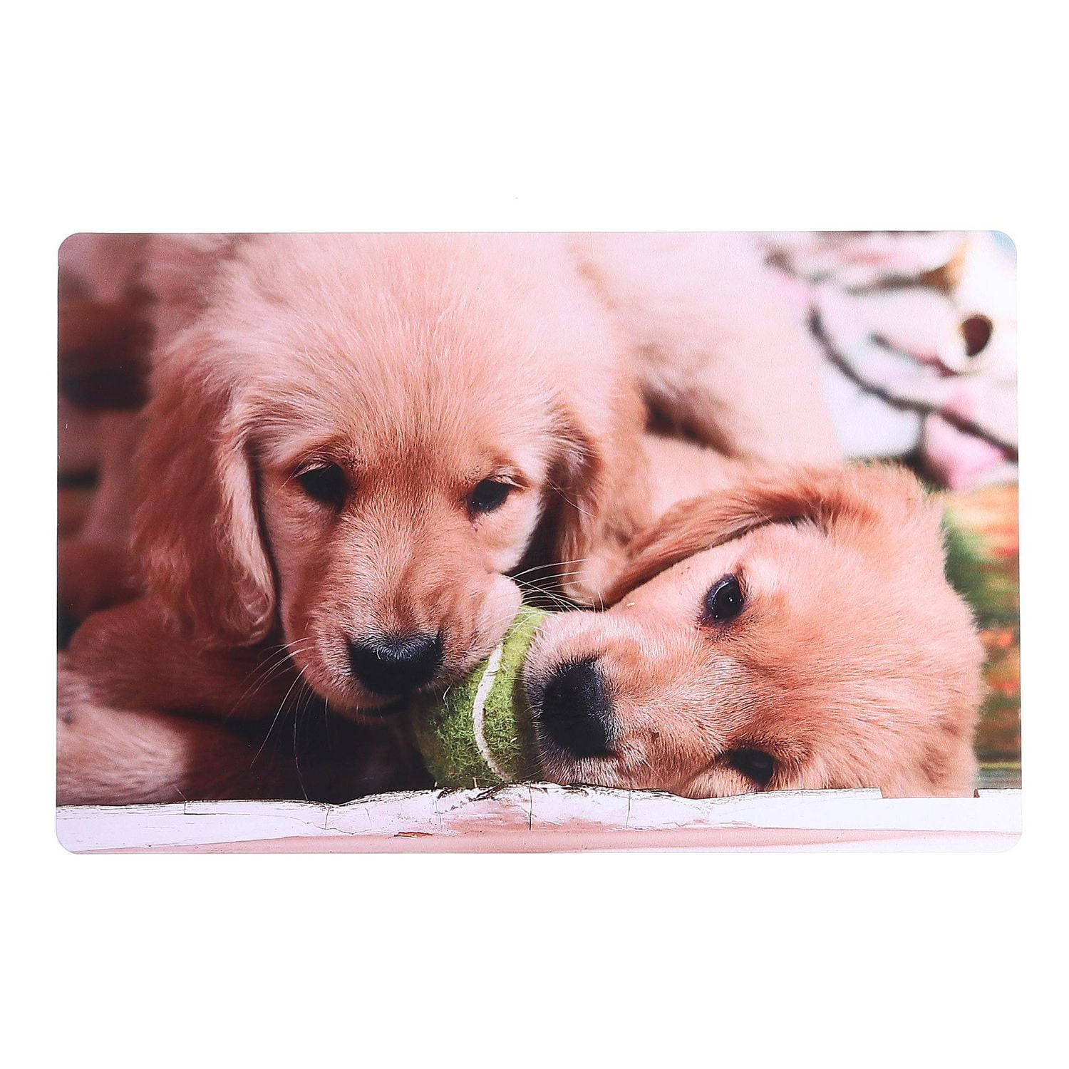 Plastic Placemat (Dogs Chewing Ball) Set of 12 Walmart Canada