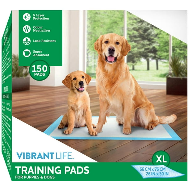 Vibrant Life Extra Large Training Pads, 75 pack (66 cm x 76 cm