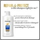Shampooing Pantene Pro-V Répare et protège – image 4 sur 7