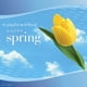 Febreze SmallSpaces Happy Spring Starter Kit Air Freshener – image 3 sur 5