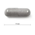 thumbnail image 2 of Jamieson Capsules de Myrtille (Bleuet européen), 2 of 3