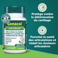 thumbnail image 4 of Genacol Optimum – Collagène Aminolock, Glucosamine, Chondroitin & MSM, 90 comprimés (30 jours), 4 of 8