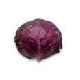 thumbnail image 5 of Red Cabbage, Sold in singles, 1.12 - 1.33 KG, 5 of 5