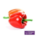 thumbnail image 1 of Peppers, Organic, Pack of 2, 1 of 6