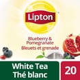 thumbnail image 1 of Lipton® Blueberry and Pomegranate White Tea Bags, 1 of 2