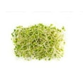 thumbnail image 1 of Radish Alfalfa Sprouts, 1 of 1
